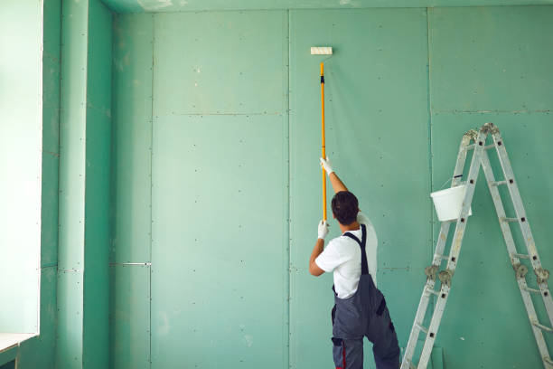Best Mold Damage Restoration  in Waverly, OH