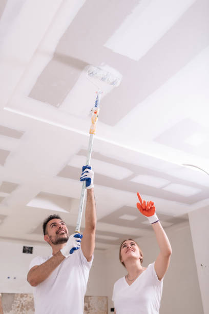 Best Black Mold Removal  in Waverly, OH